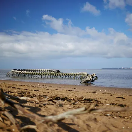 2 Pieces Face Mer, Balcon, 50m Plage, Proche Centre Et Commerces - Saint-brevin - Fr-1-364-141